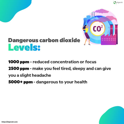 What is Carbon Dioxide? 