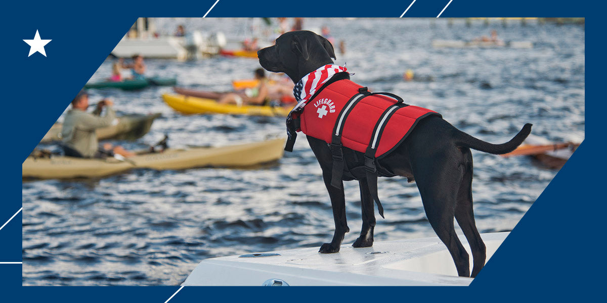 Must-Have Accessories to Bring Your Dog Boating