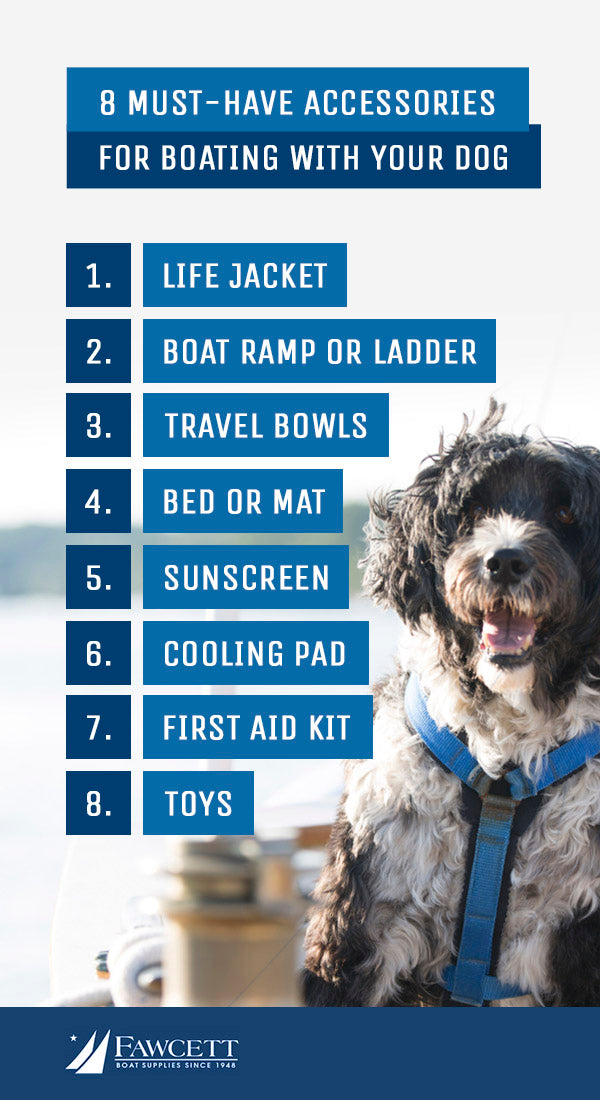 8 Must-Have Accessories for Boating With Your Dog