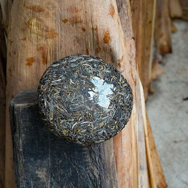 a freshly pressed raw Puerh tea cake in Yunnan