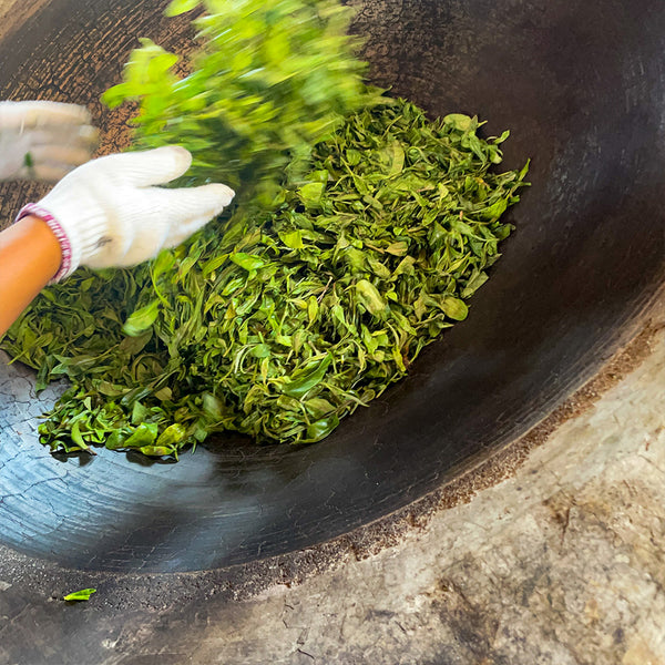 Kill Green step in raw Puer tea processing, Shaqing