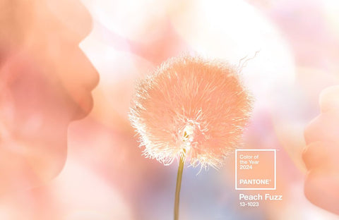 Peach Fuzz color of the year 2024 by Pantone