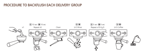 Cafetto EVO Cleaner Procedure to Backflush Each Delivery Group