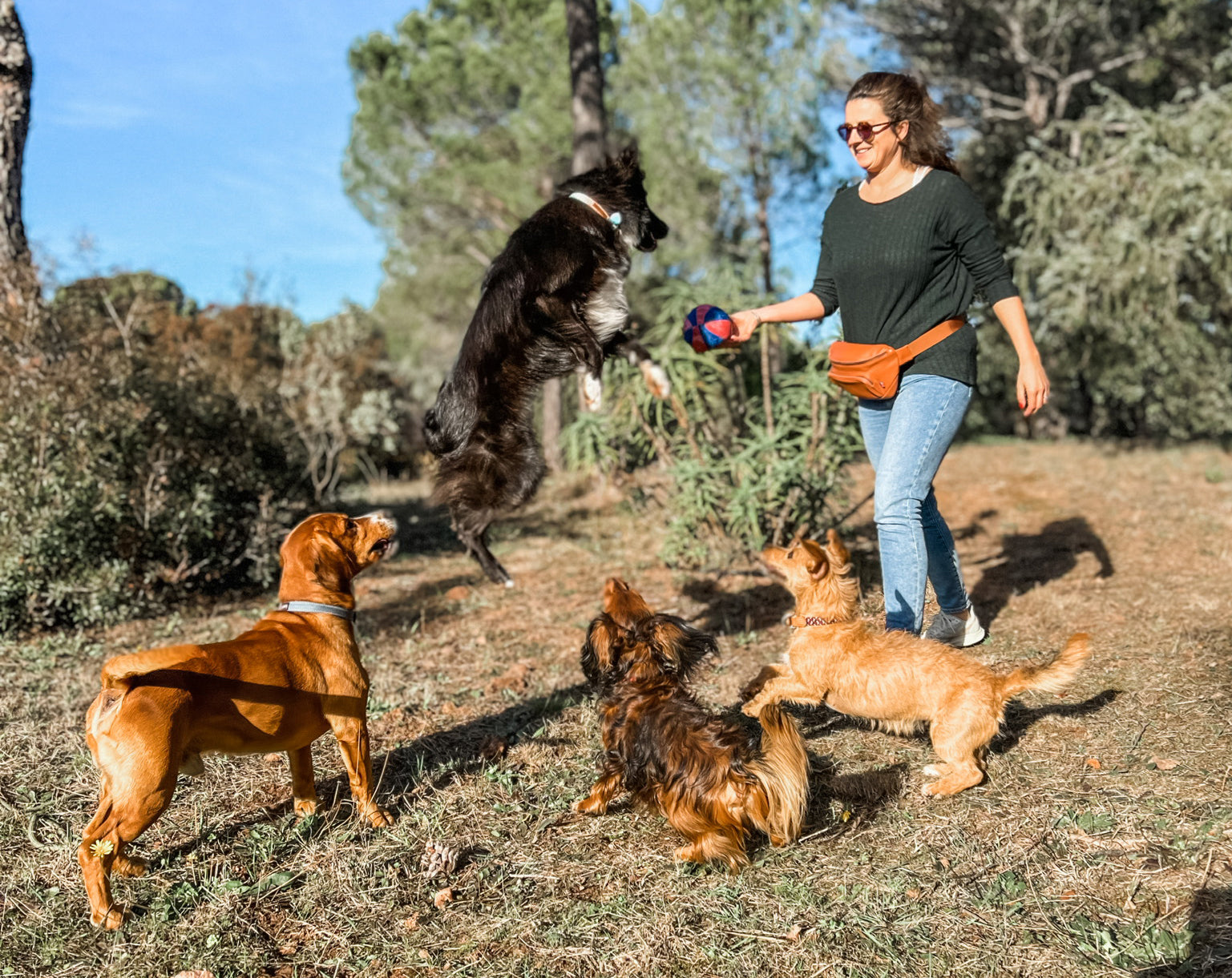 Woman wearing dog walking bag fanny pack playing at the park