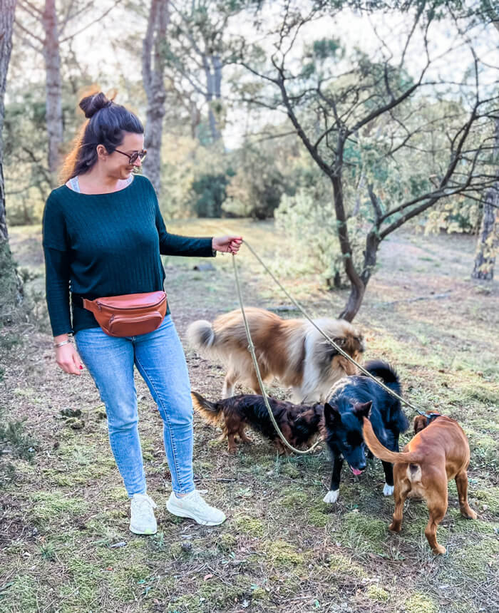 Woman Wearing Dog Walking Bag with Dogs