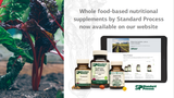 Standard Process wholefoods supplements best lowest price