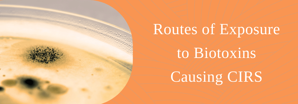 Routes of Exposure to Biotoxins Causing CIRS