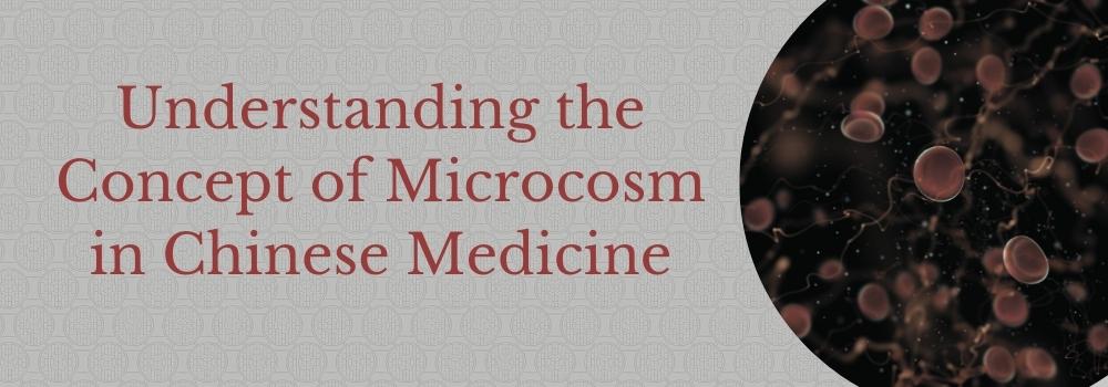 Understanding the Concept of Microcosm in Chinese Medicine