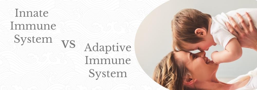 Immune System