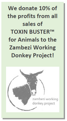 Zambezi Working Donkey Project