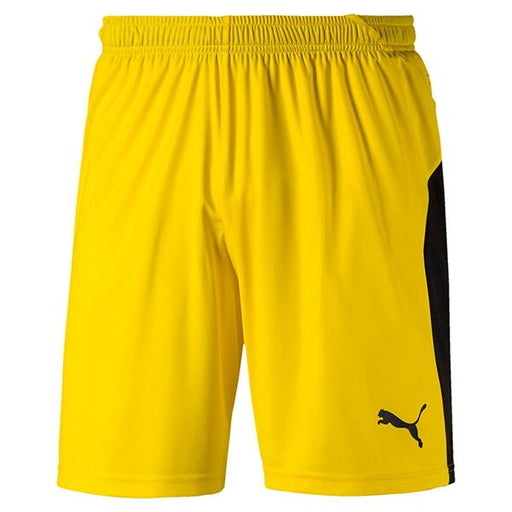 Short Puma TeamLIGA Training 2 Homme