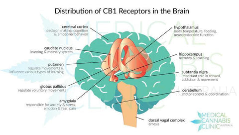 cbd for stress, cbd for anxiety, cbd for sleep, cbd for pain, cbd for inflammation