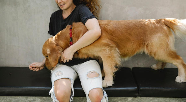 A happy female dog eating a CBD dog treat