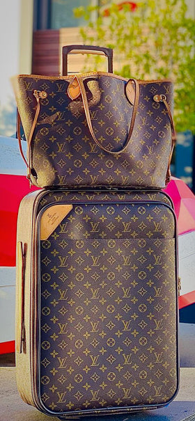 Louis Vuitton Brown Nylon Pegase 45 Suitcase Cover/Protector at 1stDibs   louis vuitton luggage cover, louis vuitton luggage protective cover, lv  luggage cover