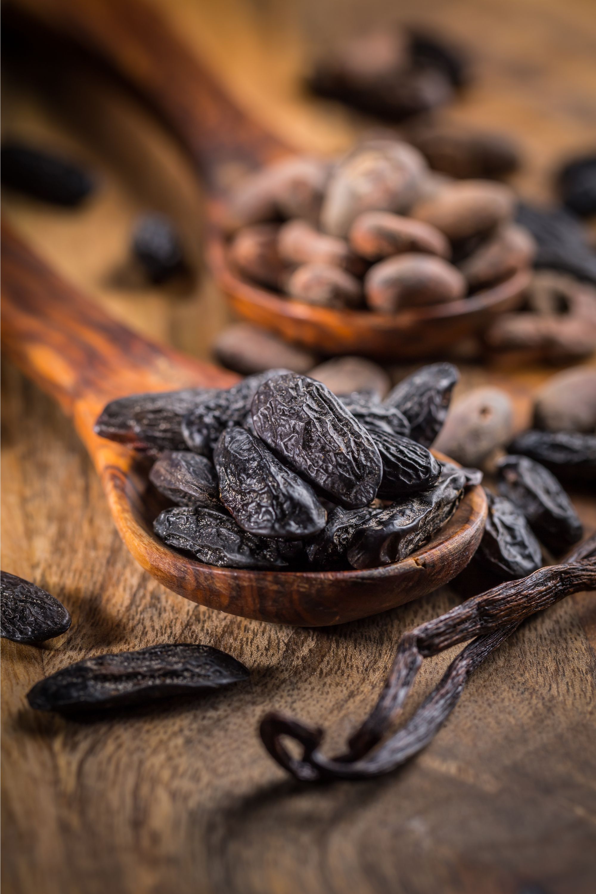 Tonka vanille et cacao sur une table en bois