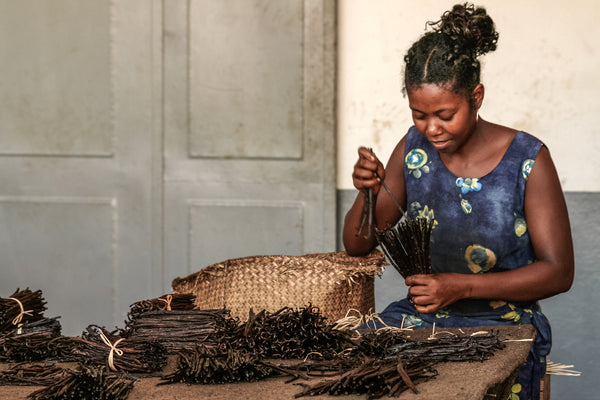 preparation vanille de madagascar