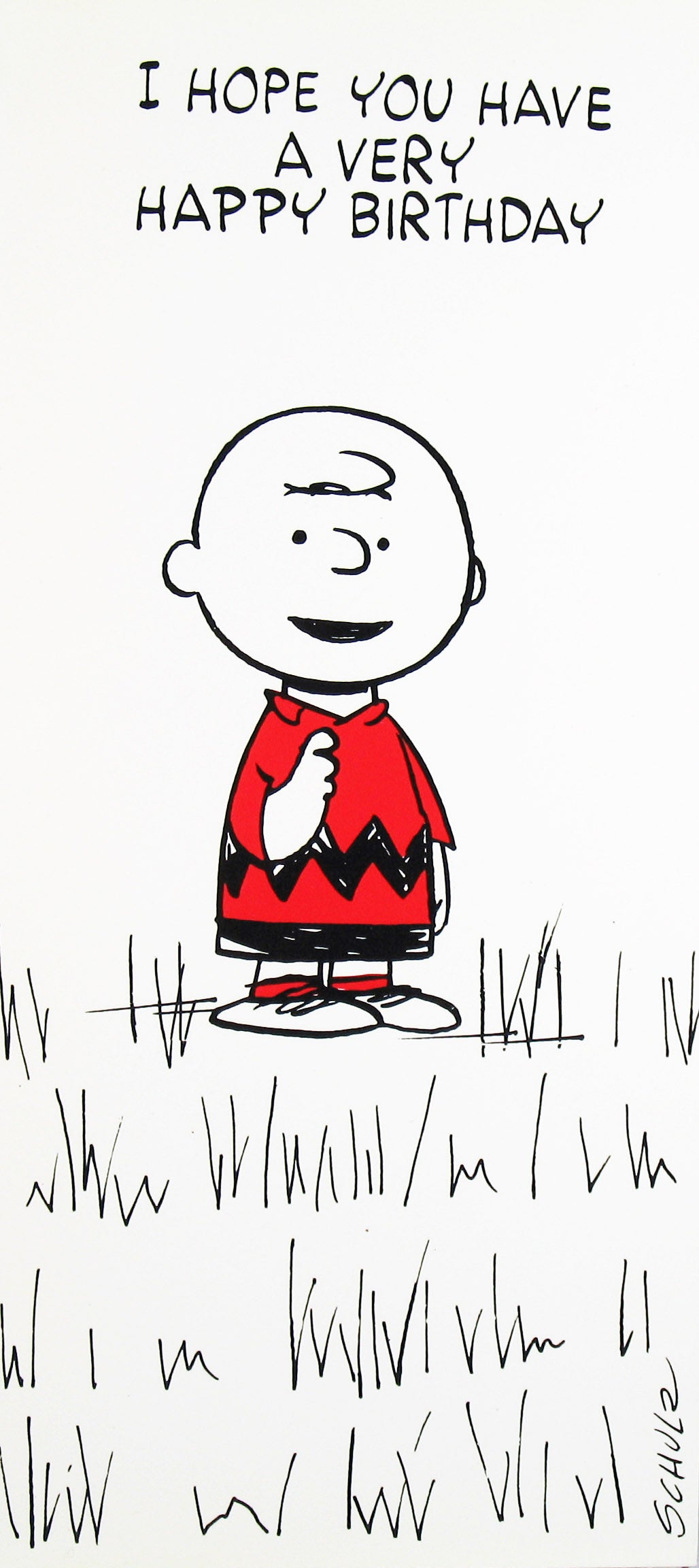 Charlie Brown Vintage Birthday Card | snoopn4pnuts.com