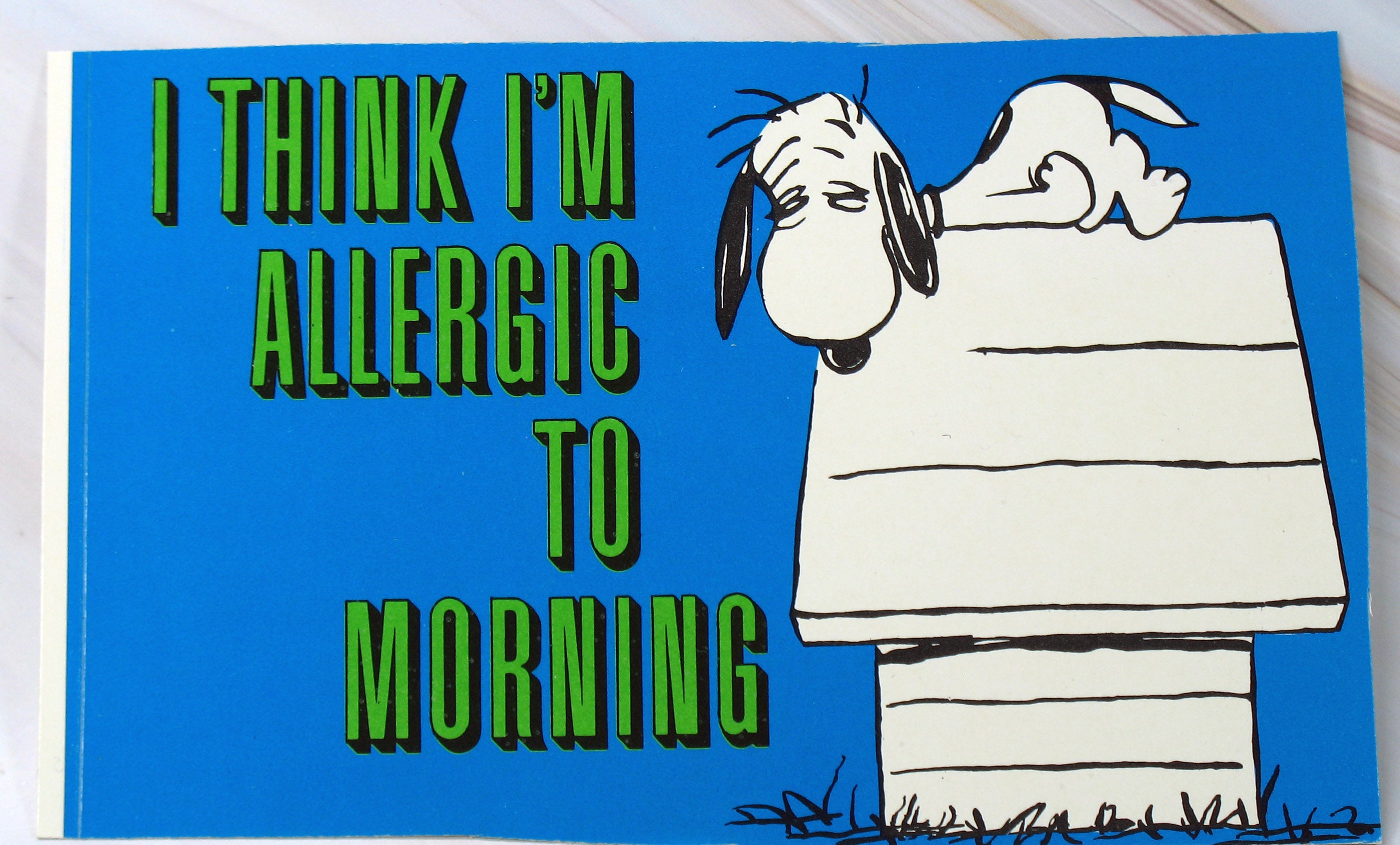 1968 Peanuts Vintage Sticker By Hallmark - Sleepy Snoopy | snoopn4pnuts.com