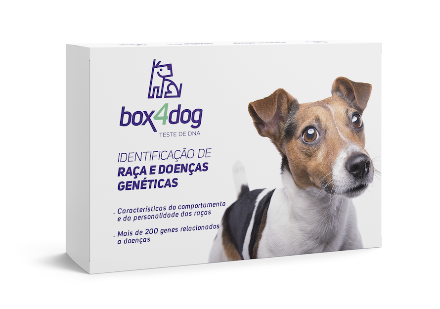 Aprenda mais– Box4Pets