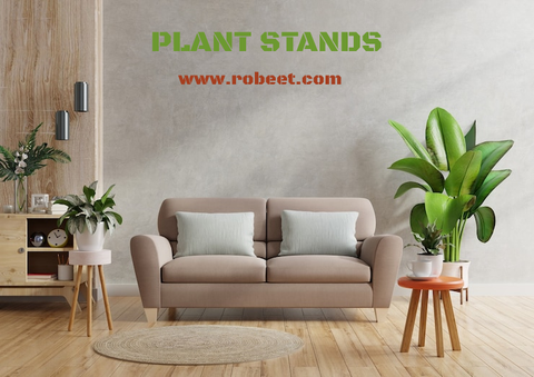 www.robeet.com