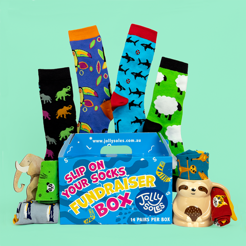 The Animal Sock Fundraising Box | Unisex | All Ages | 🧦 | Jolly Soles