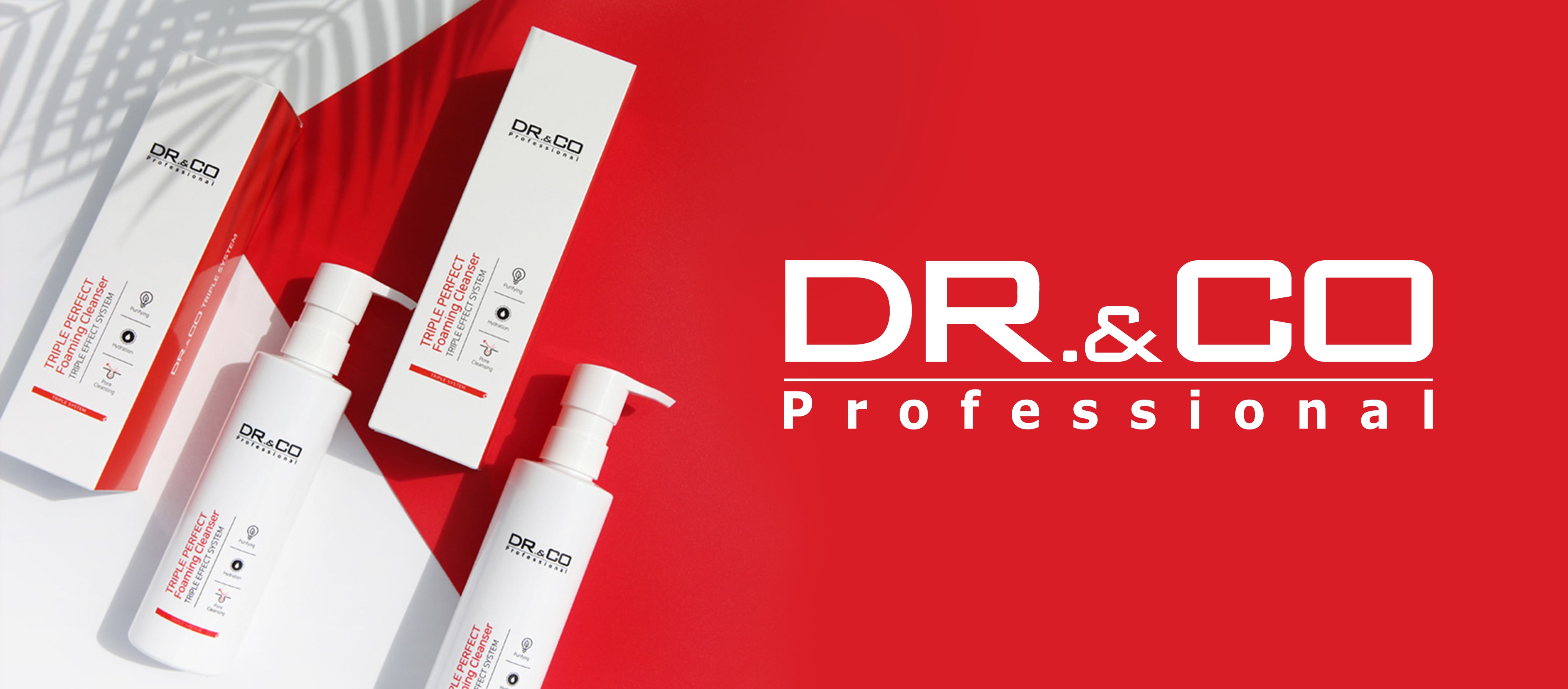 main banner dr.& co