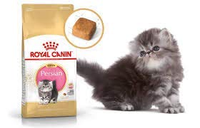 royal canin persian kitten 4kg