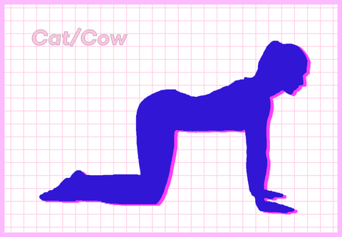 cat/cow pose