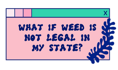 what if weed is not legal in my state?