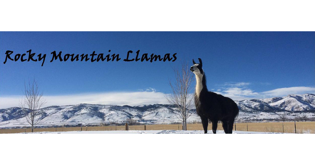 Rocky Mountain Llama and Alpaca Association - Welcome! - RMLA - Rocky  Mountain Llama and Alpaca Association