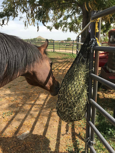 Hay Chix Half Bale Net - Colored Rope 3 Net Bundle – Runin' In Style