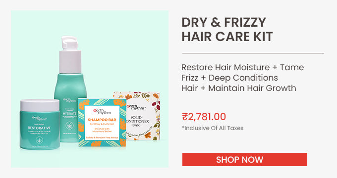 dry & frizzy hair care kit