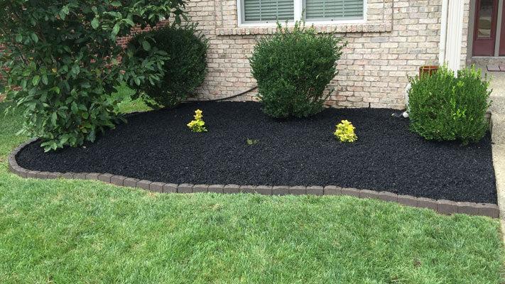 Black rubber landscape mulch in residential garden bed landscape