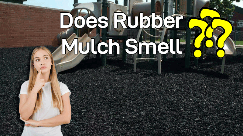 About Rubber