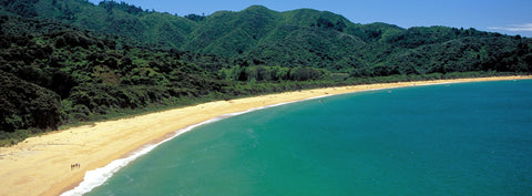 Totaranui-Beach