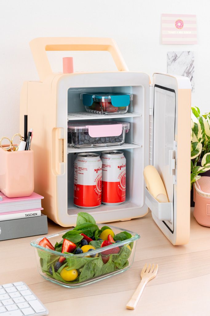 How Much Is A Mini Refrigerator : Lg Gr 051ss 48 Ltr Mini Fridge