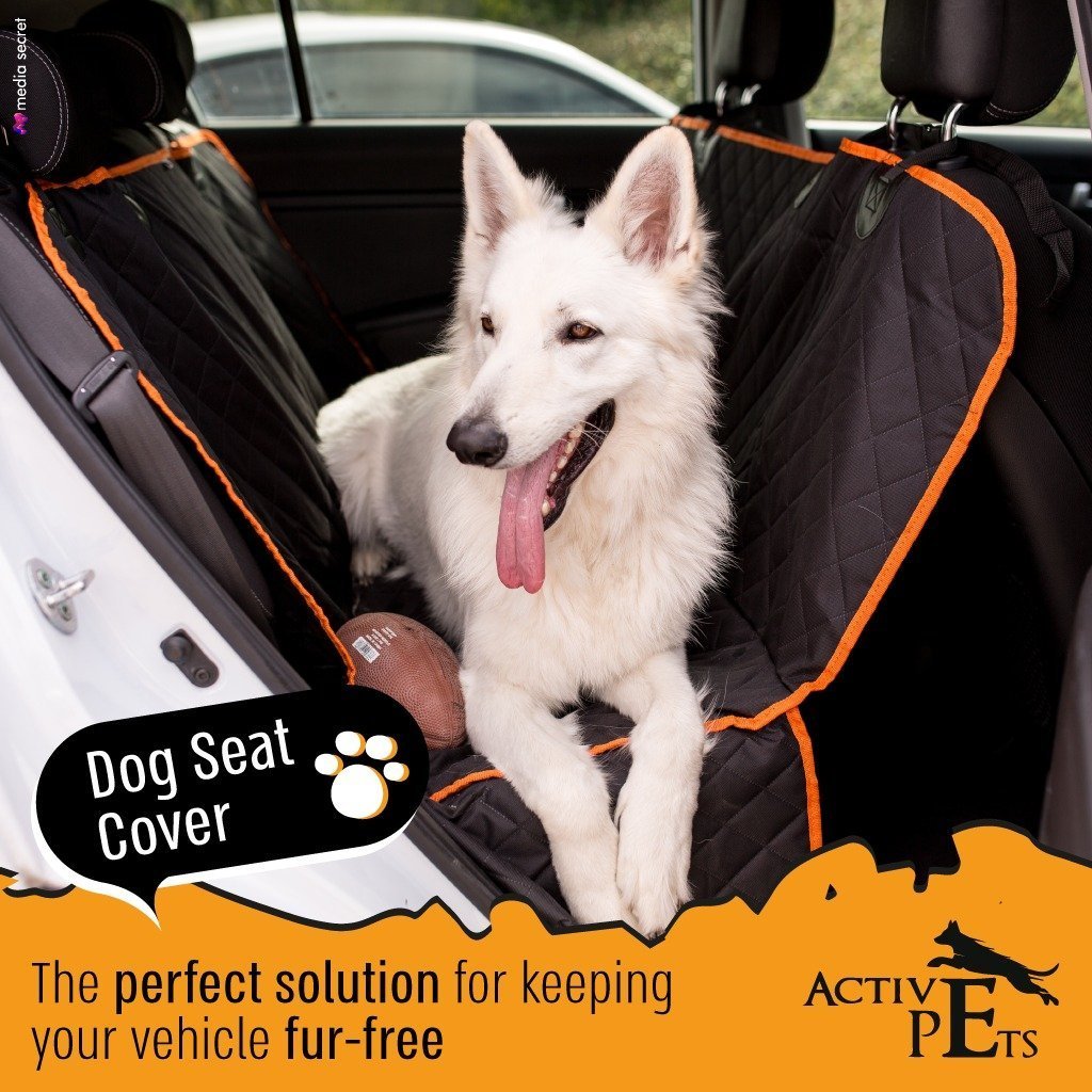 Why should you use Dog Seat Covers for your car? – Active Pets