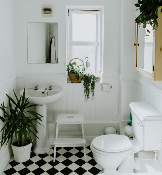 a bathroom with white tiles on the floor, white walls and features. There are some plants making the bathroom feel cosy.