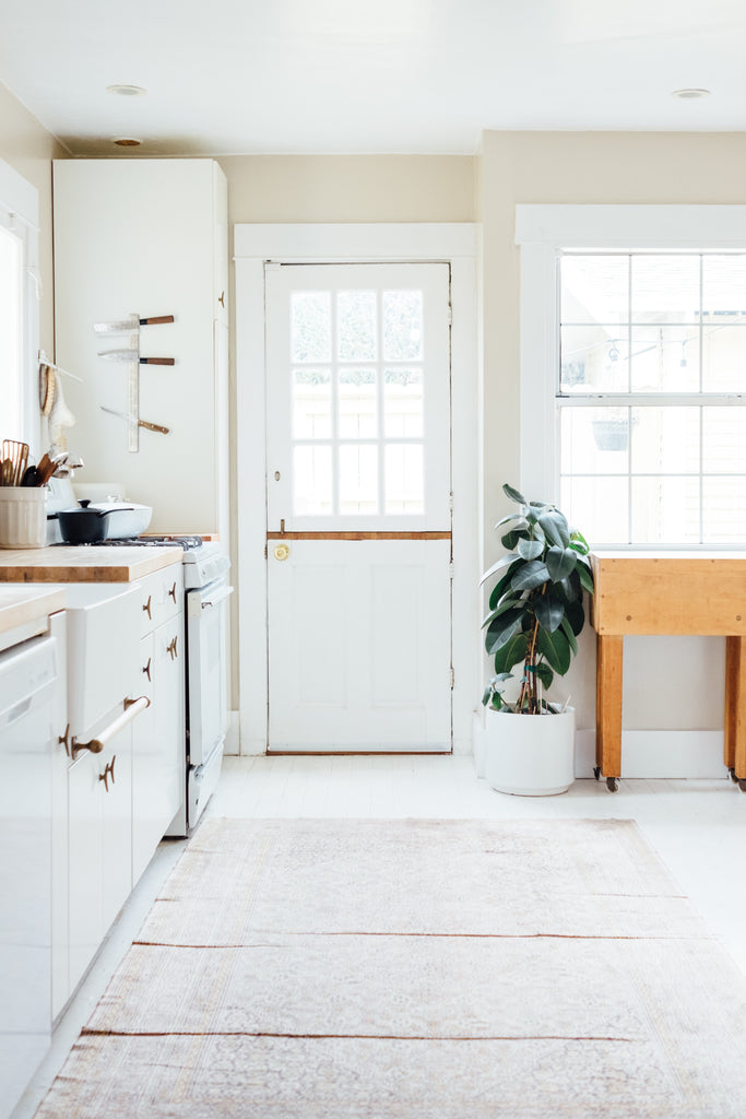 very bright looking kitchen with a large plant on the floor