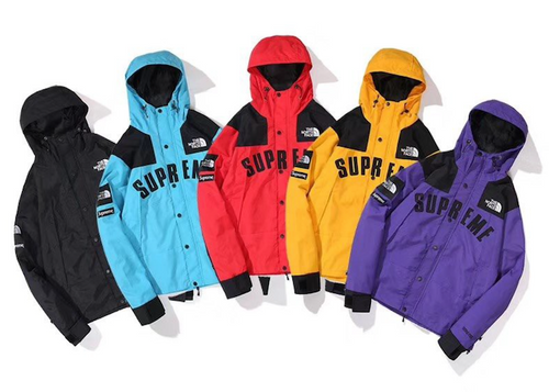 the north face supreme parka