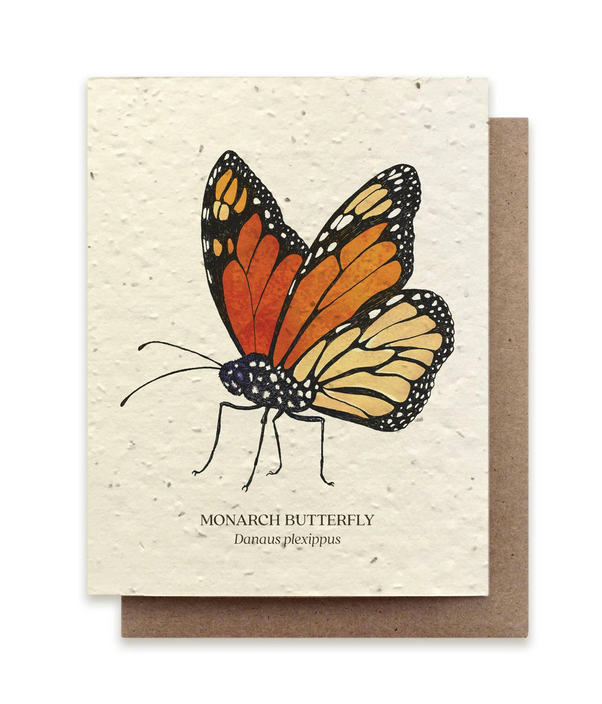 Monarch Butterfly &verbar; Plantable Wildflower Card