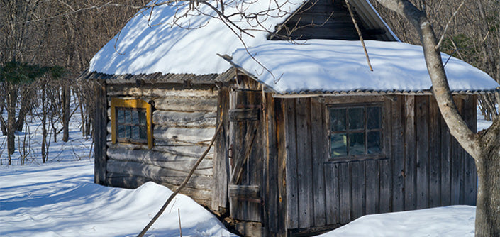 bluecorn beeswax cabin in mountain woods