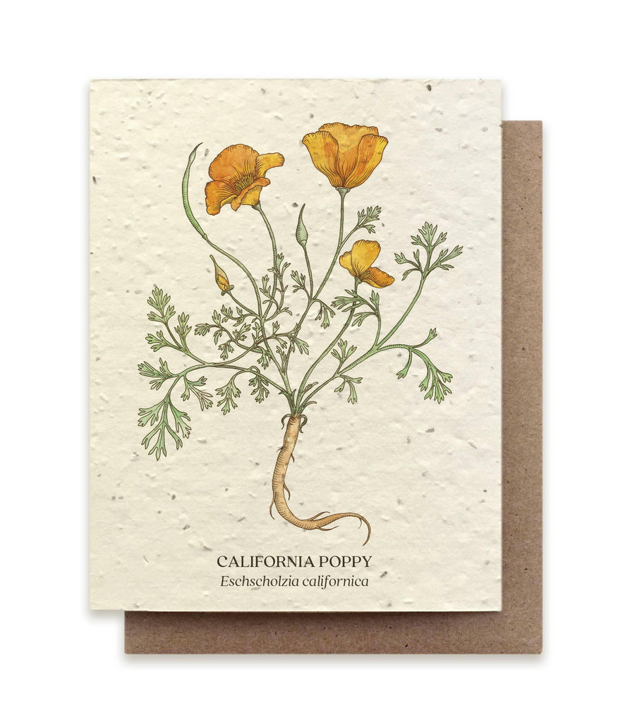 California Poppy &verbar; Plantable Wildflower Card