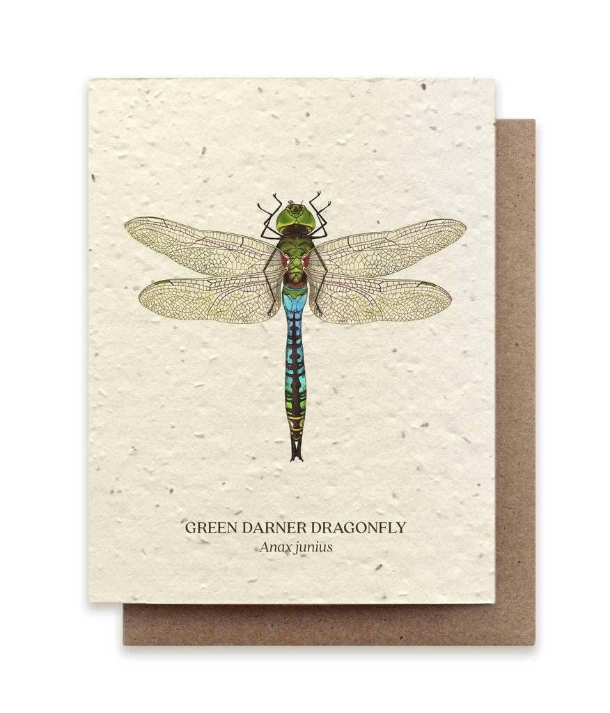 Green Darner Dragonfly &verbar; Plantable Wildflower Card