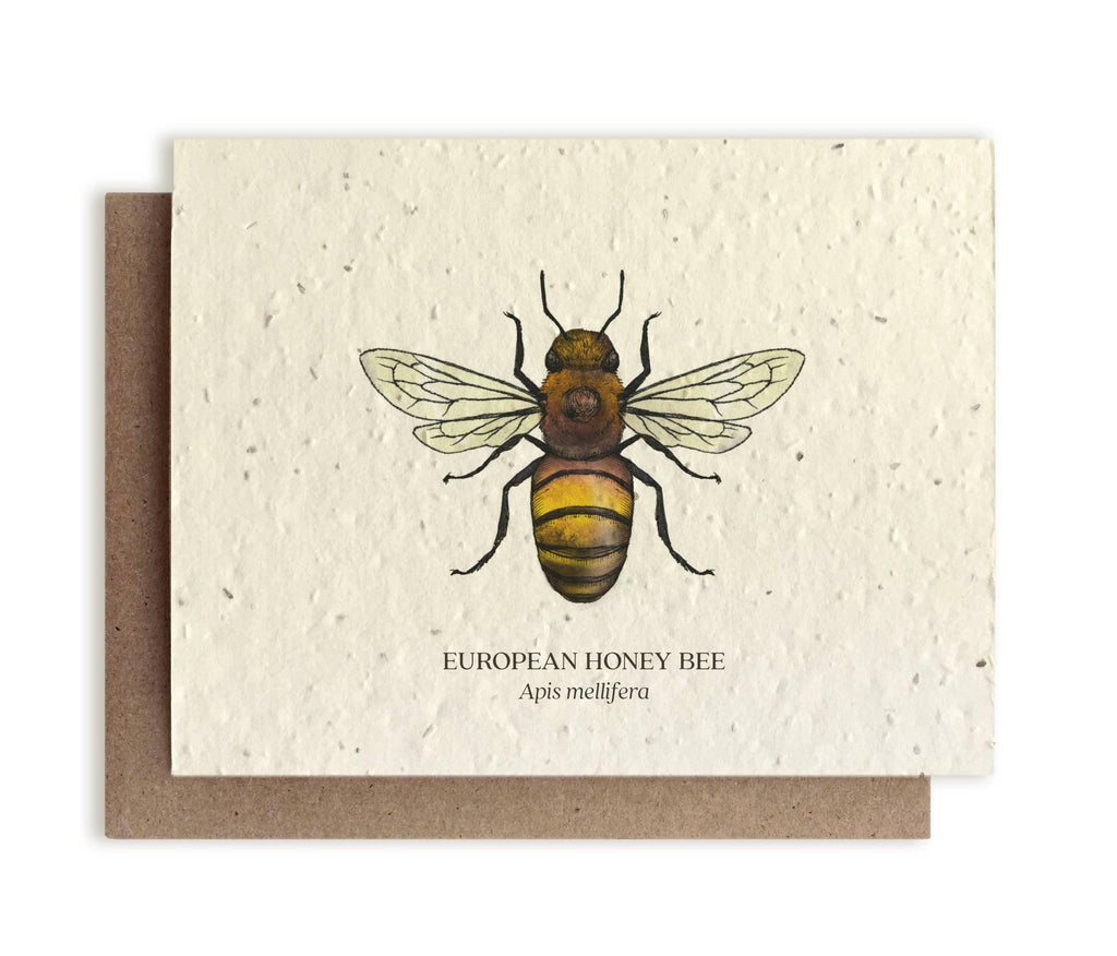 Honey Bee &verbar; Plantable Wildflower Card