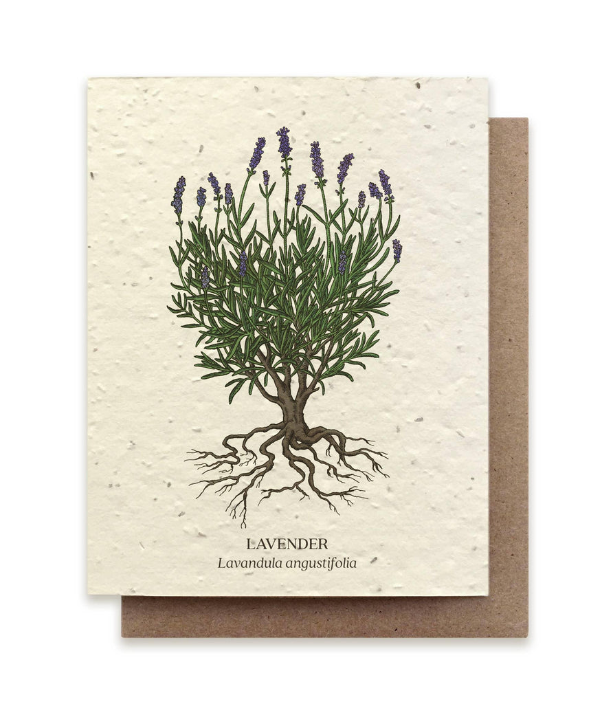 Lavender &verbar; Plantable Wildflower Card