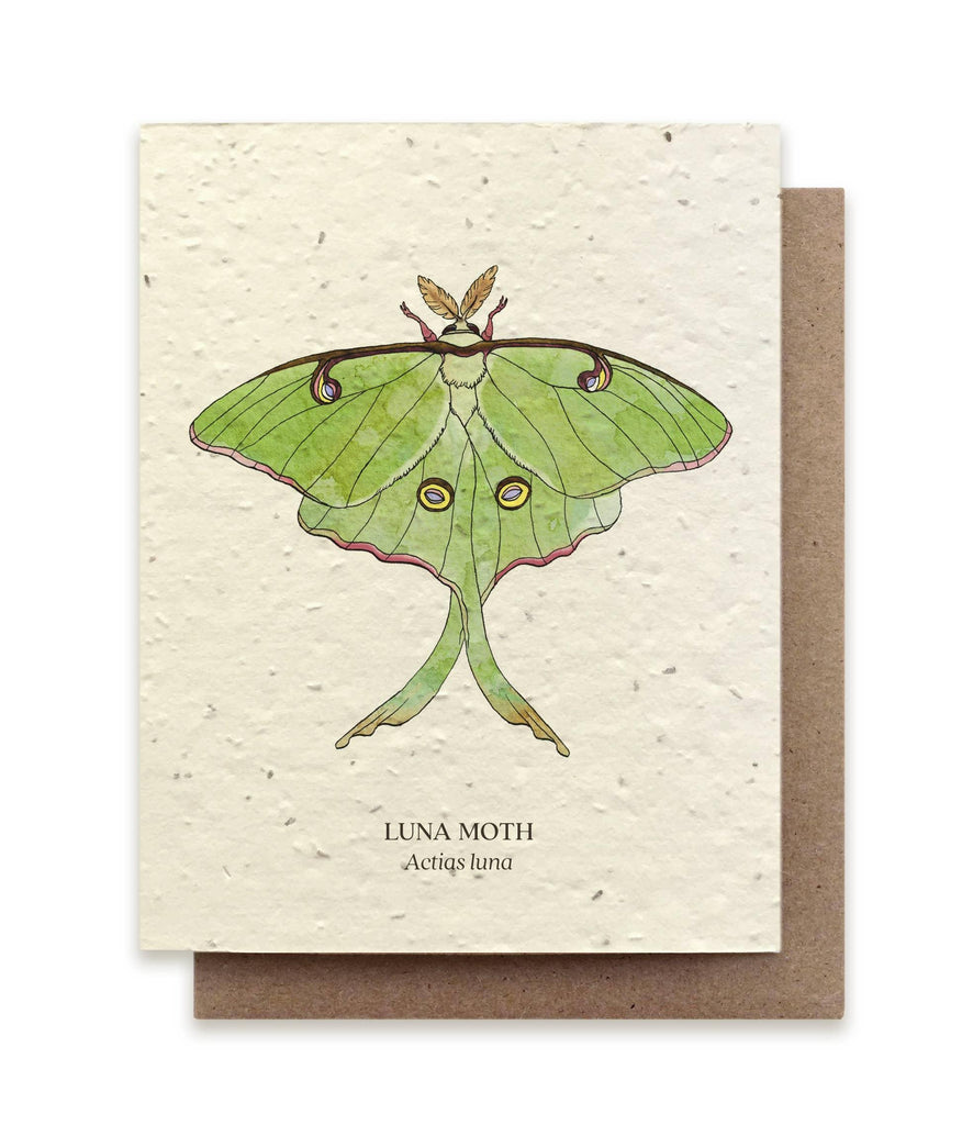 Luna Moth &verbar; Plantable Wildflower Card