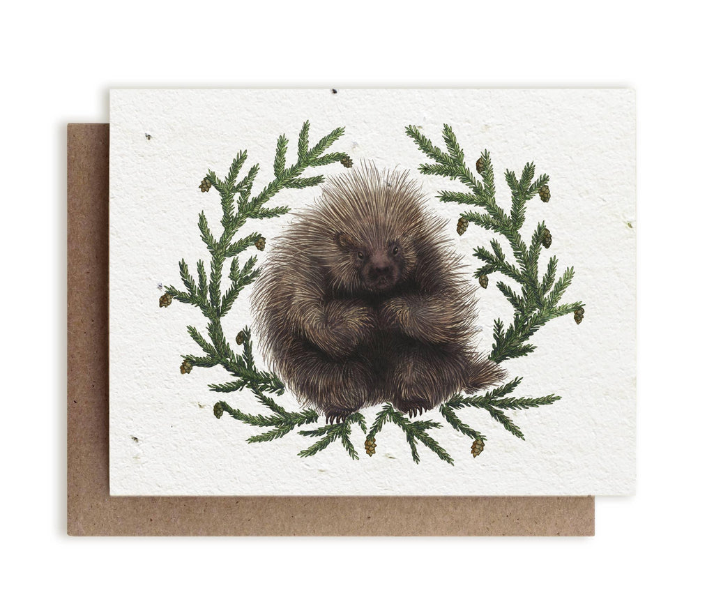 North American Porcupine & Hemlock  &verbar; Plantable Herb Seed Card