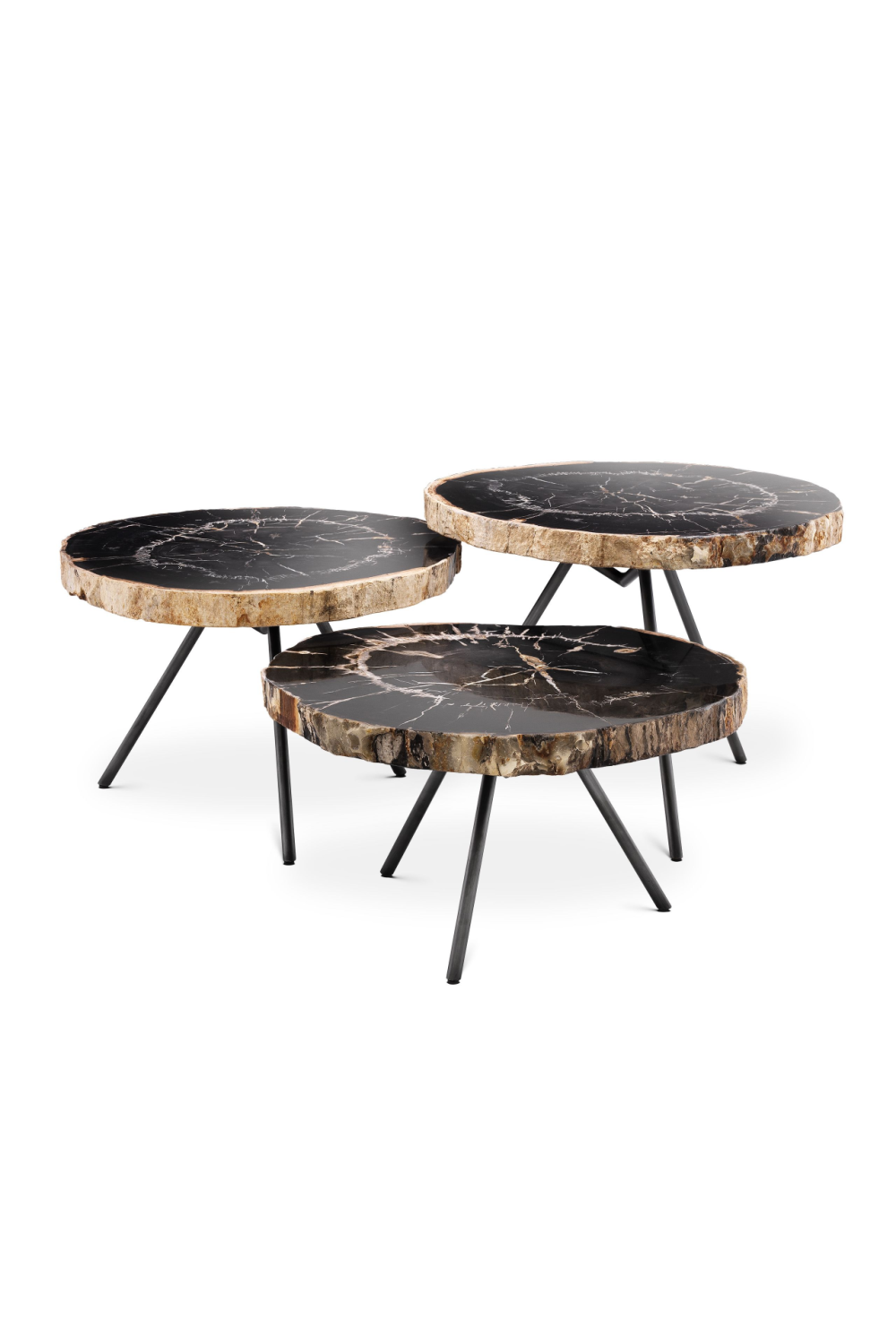 Petrified Wood Coffee Table Set (3) Eichholtz De Soto Eichholtz - OROA