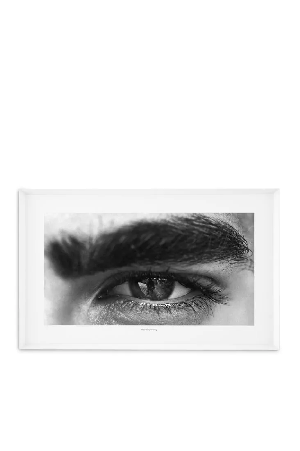 Monochromatic Eye Portrait Eichholtz Philippe Vogelenzang - The Gaze Eichholtz - OROA